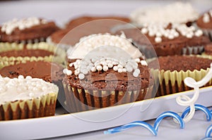 Chocolate and vanilla cupcakes
