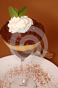 Chocolate and vanilla pudding
