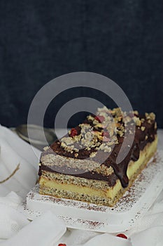 Chocolate and vanilla pudding cake