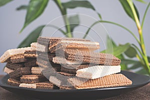 Chocolate wafers on herb  background