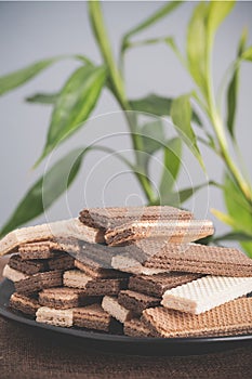 Chocolate wafers on herb  background