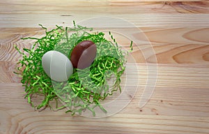 Chocolate and white egg in green nest