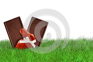 Chocolates on grass on white background