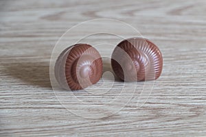 Chocolates in the shape of a snail