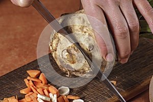 Chohhed vegetableschopped vegetables