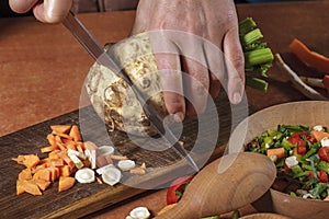 Chohhed vegetableschopped vegetables