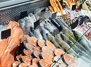 Choice of fresh fish in the refrigerated counter.