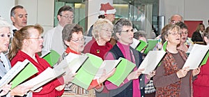 Choir singing Christmas carols.