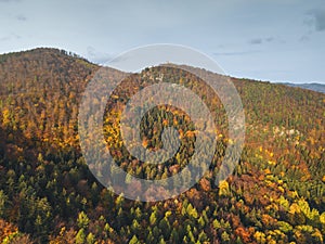 Chojnik Castle in Karkonosze National Park