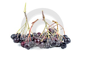 Chokeberries isolated on white background