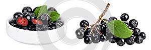 Chokeberry in ceramic bowl isolated on white background. Black aronia.