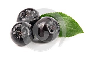 Chokeberry with leaf isolated on white background. Black aronia berries