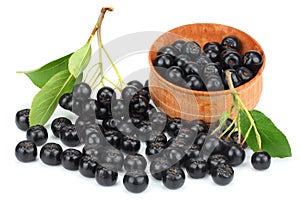 Chokeberry with leaf in wooden bowl on white background. Black aronia