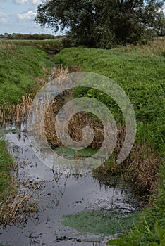 A choked weedy stream in the countryside photo