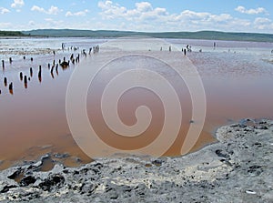 Chokrak mud clay lake, Crimea