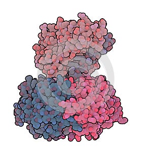 Cholera toxin molecule