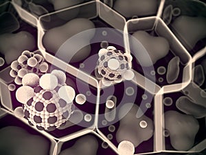 Cholesterol in a cells, field of cells