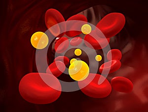 Cholesterol / Diabetes - Blood Stream