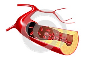 Cholesterol and erythrocyte flow in the vein. 3d vector illustration