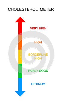 Cholesterol meter vertical scale. Atherosclerosis, hyperlipidemia, hypercholesterolemia risk chart. Lipoprotein levels photo
