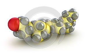 Cholesterol model , over white