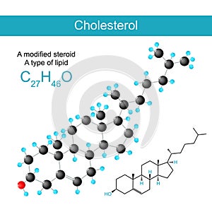 Cholesterol molecular chemical structural formula