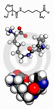 Cholesterol, molecular model