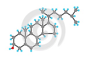 Cholesterol molecule