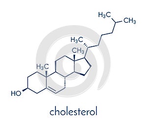 Cholesterol molecule. Essential component of cell membranes and precursor of steroid hormones, bile acids and vitamin D. Skeletal.