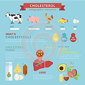 Cholesterol sources flat infographic: meat ingredients