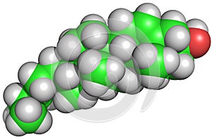 Cholesterol Structure