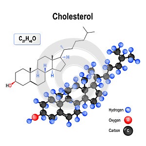 Cholesterol. Structure of a molecule.