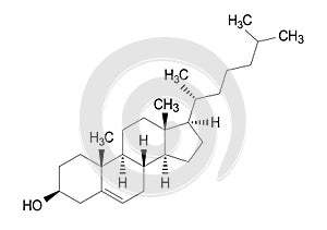 Cholesterol vector formula, chemical structure of molecule