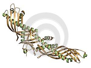 Cholesteryl ester transfer protein (CETP). Potential drug target
