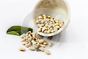 Choli or Chowli or raungi or Lobia or Black eyed pea isolated on white.