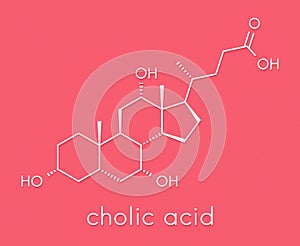 Cholic acid cholate molecule. Main bile acid component. Skeletal formula.