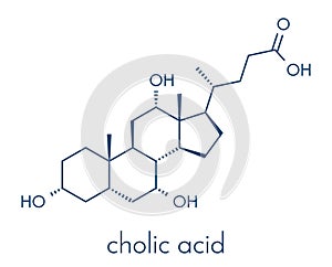 Cholic acid cholate molecule. Main bile acid component. Skeletal formula. photo