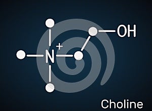 Choline,  C5H14NO+ , vitamin-like essential nutrien molecule. It is a constituent of lecithin. Skeletal chemical formula