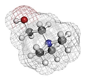 Choline essential nutrient molecule. Atoms are represented as spheres with conventional color coding: hydrogen (white), carbon (