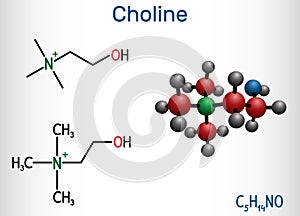 Choline vitamin-like essential nutrien molecule. It is a constituent of lecithin. Structural chemical formula and molecule model