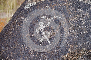 Cholpon Ata petroglyphs, Issyk Kul, Kyrgyzstan