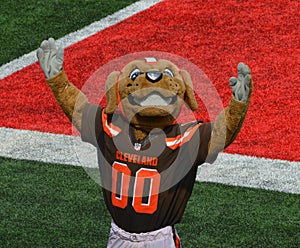 Chomps NFL Mascot The Cleveland Browns