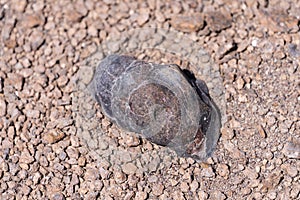 Chondrite Meteorite, a piece of rock formed in outer space in the early stages of Solar System as asteroids. This meteorite comes