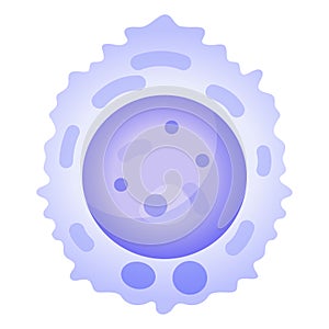 Chondrocyte cell in healthy cartilage, producing and maintaining cartilaginous matrix.