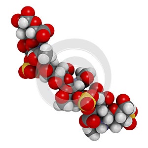 Chondroitin sulphate (short fragment). Important component of cartilage. Used as dietary supplement in treatment of osteoarthritis