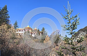 Chonggu monastery at Yading Nature Reserve in Sichuan, China