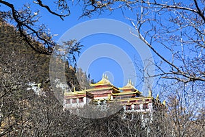 Chonggu monastery at Yading Nature Reserve in Sichuan, China