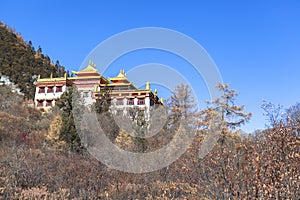 Chonggu monastery at Yading Nature Reserve in Sichuan, China