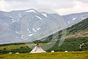 Chooms of Khanty reindeer herders among