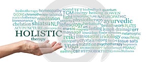 Choose from many different Holistic therapies word cloud